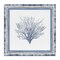 Stupell Industries Bordered Oceanic Coral Canvas Design by Lanie Loreth